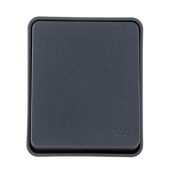 Выключатель накладной 1кл. IP54 10АХ SE AtlasDesign Profi54 серый