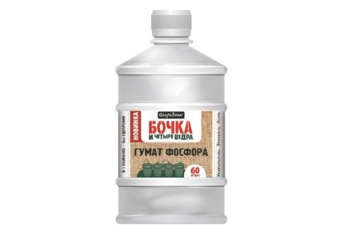 Основная картинка ID:1fae0210-6781-11eb-80cf-001e672df05c