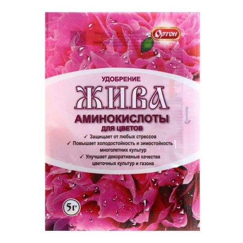Основная картинка ID:40ae24bb-040b-11ec-80d4-001e672df05c