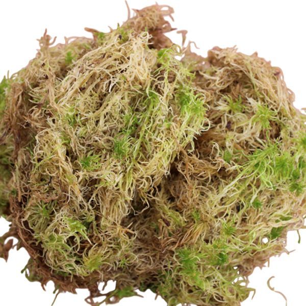 Мох сфагнум 0,7л