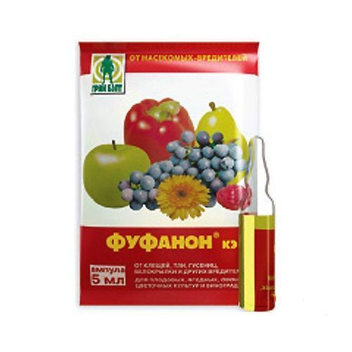 Основная картинка ID:abf12049-fded-11e4-9a19-001e672df05c