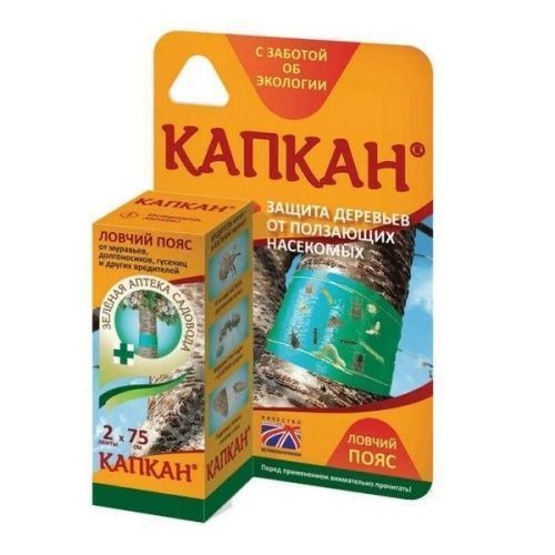 Основная картинка ID:e7729a1e-1d8e-11e6-bbf9-001e672df05c
