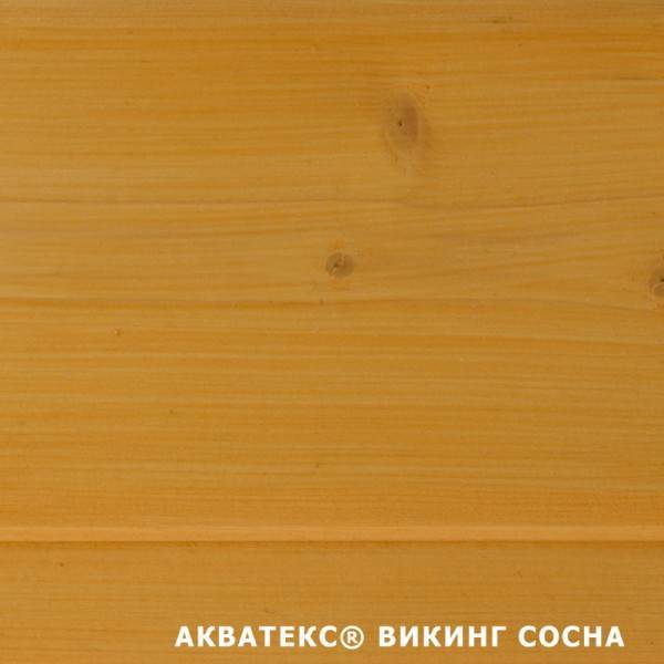 сосна