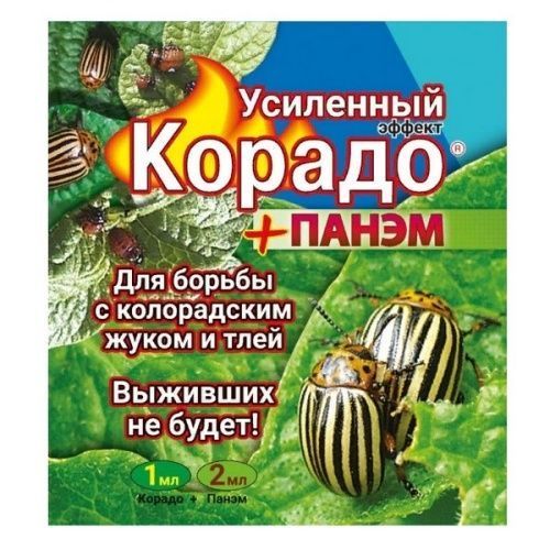 Основная картинка ID:047c7185-dab6-11ed-80dd-001e672df05c
