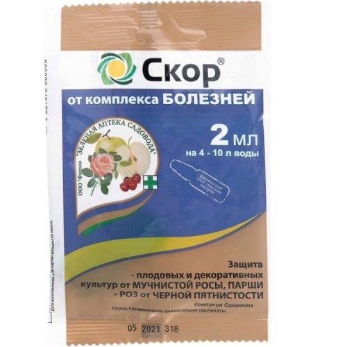 Основная картинка ID:7290ed52-b642-11e3-9a8e-001e672df05c