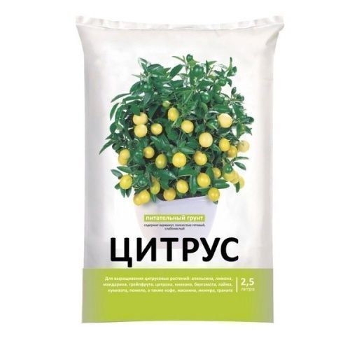 Основная картинка ID:2b9be1f6-9d72-11e5-8492-001e672df05c