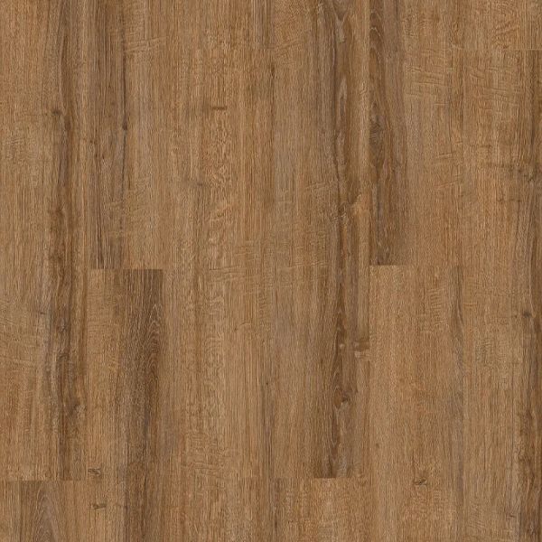 2402 Дуб талас