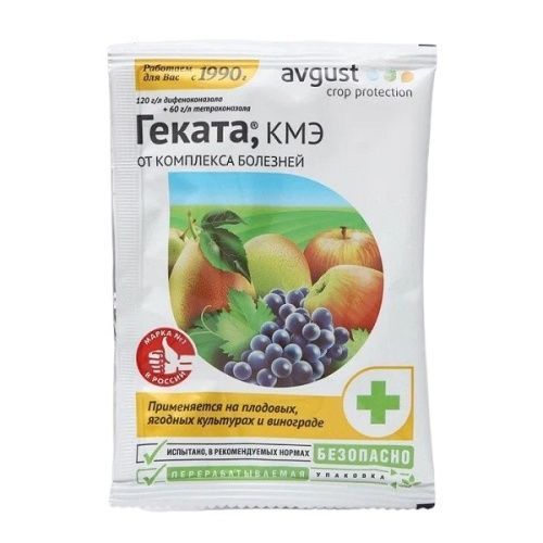 Основная картинка ID:af883251-c6b9-11ec-80d9-001e672df05c