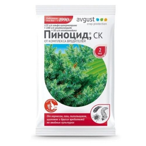 Основная картинка ID:71be701c-7d2e-11e9-bf4f-001e672df05c
