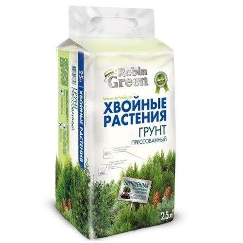 Основная картинка ID:6b346c24-a97b-11eb-80d1-001e672df05c