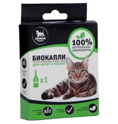 Основная картинка ID:4744b12f-c249-11e9-ac38-001e672df05c