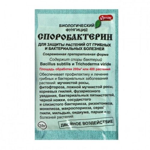 Основная картинка ID:7ad3cd7e-7ac8-11e9-b76c-001e672df05c