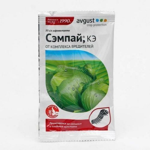 Основная картинка ID:e8f4210b-a634-11e1-aac6-50e5493d8883