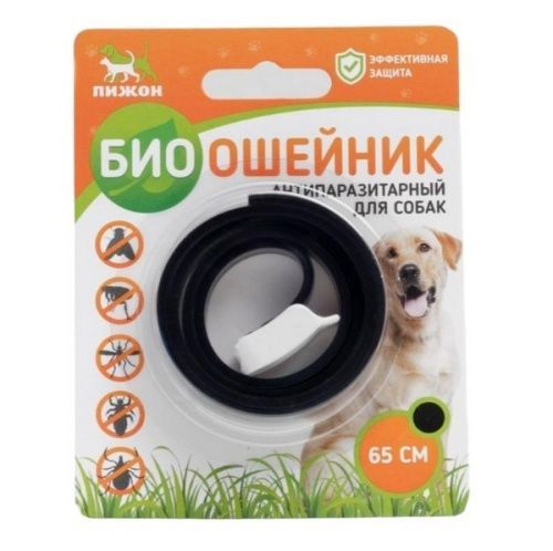 Основная картинка ID:2df3a0a4-d897-11eb-80d4-001e672df05c