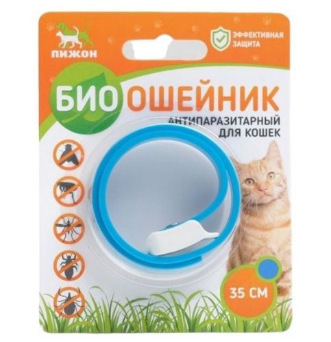 Основная картинка ID:a434acf1-288b-11ea-80c6-001e672df05c