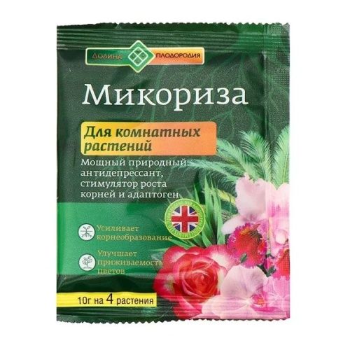 Основная картинка ID:ed66103d-f0cf-11ea-80cb-001e672df05c