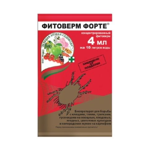 Основная картинка ID:ac681645-7e1a-11ea-80c8-001e672df05c