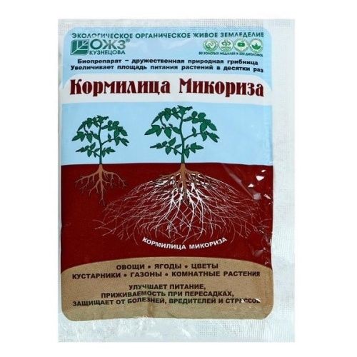 Основная картинка ID:dda165e6-2967-11eb-80cc-001e672df05c