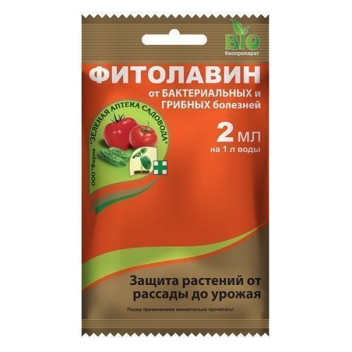 Основная картинка ID:6b4874f4-8f76-11ea-80c8-001e672df05c