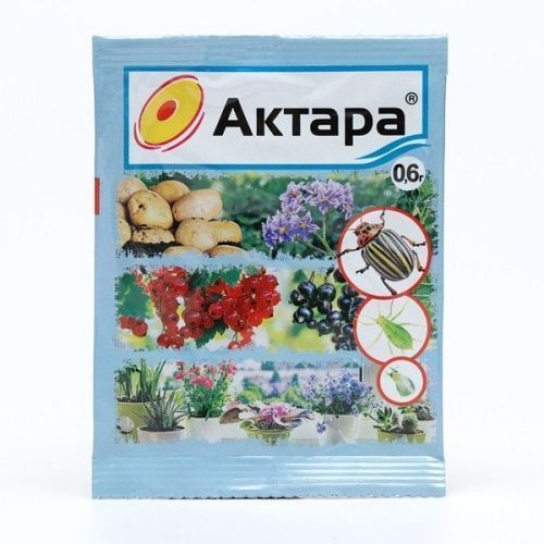 Основная картинка ID:5f497111-fb91-11ec-80d9-001e672df05c