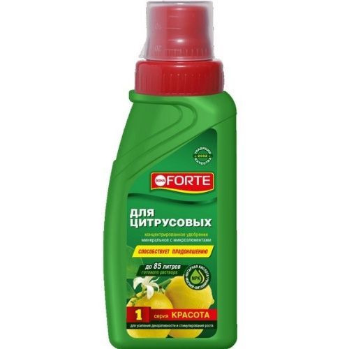 Основная картинка ID:183058c2-7b4d-11eb-80cf-001e672df05c