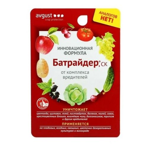 Основная картинка ID:b6376045-d230-11ea-80ca-001e672df05c