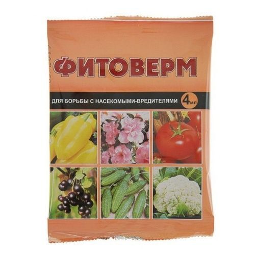 Основная картинка ID:3fee2175-0d81-11e4-8073-001e672df05c