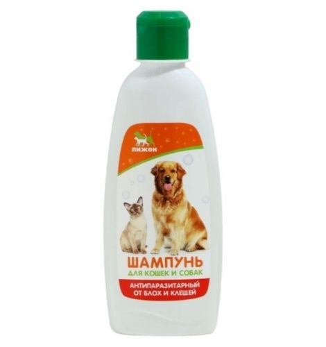 Основная картинка ID:4744b12d-c249-11e9-ac38-001e672df05c